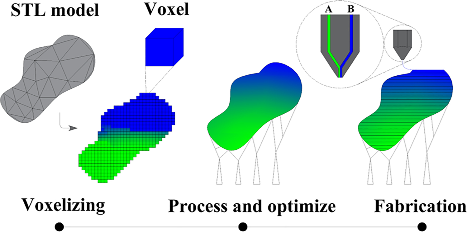 Voxel-based FGM workflow: an STL model is voxelized, a green-to-blue material gradient is assigned and optimized, then fabricated by dual-material FFF